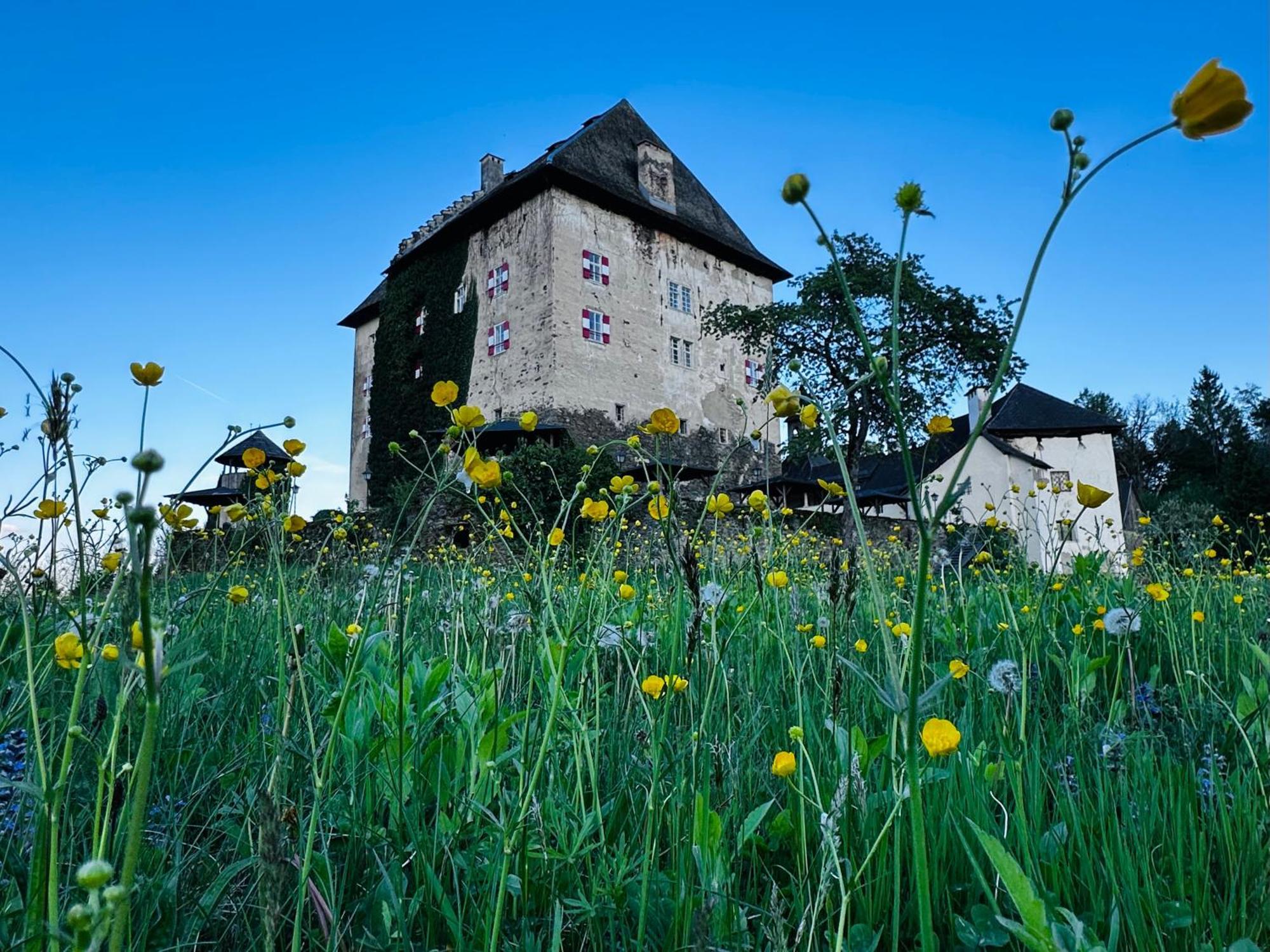 Schloss Moosburg Gaestehaus Eksteriør bilde